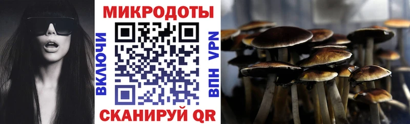Галлюциногенные грибы Psilocybe  Майский 
